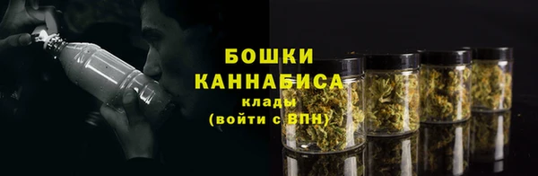 гидропоника Белокуриха