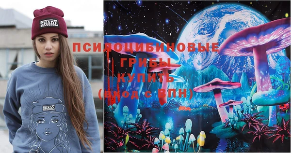 гидропоника Белокуриха