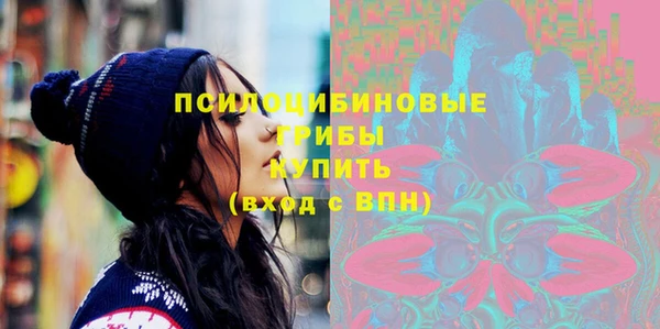 гидропоника Белокуриха