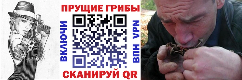 Галлюциногенные грибы Psilocybine cubensis  мега ссылка  Владимир 